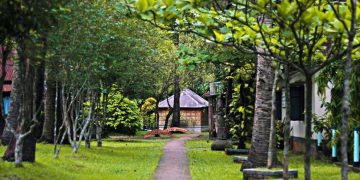 এক লড়াকু মাকে সম্মাননা জানালো