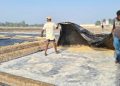 তীব্র গরমে নোনা জল থেকে একদিনে লবণ, বাড়ছে উৎপাদন