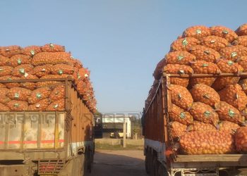 আলু আমদানি স্বাভাবিক থাকলেও বেড়েছে দাম