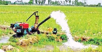 বোরো আবাদে বাড়তি খরচ ১০০ কোটি টাকা