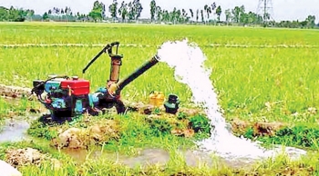 বোরো আবাদে বাড়তি খরচ ১০০ কোটি টাকা