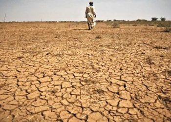 ভয়াবহ খরায় জিম্বাবুয়ে