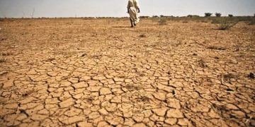 ভয়াবহ খরায় জিম্বাবুয়ে