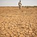 ভয়াবহ খরায় জিম্বাবুয়ে
