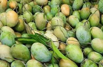 কোটি টাকার বাজার হতে পারে নওগাঁয়