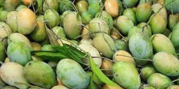 কোটি টাকার বাজার হতে পারে নওগাঁয়