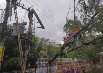 বিদ্যুৎ বিচ্ছিন্ন দক্ষিণাঞ্চলের ৪০ লাখ গ্রাহক