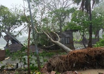 কলাপাড়া উপকূলে চলছে দুর্গত মানুষের আহাজারি