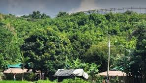 টেকনাফ সীমান্তে আবারও গুলির শব্দ