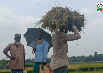 ছুটি নেই কৃষকের মে দিবসেও