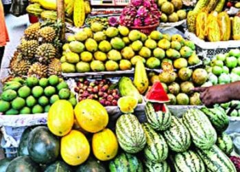 বিচিত্র ফলে মুগ্ধ রংপুরের রসনাবিলাসীরা