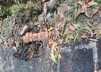 নির্মাণের এক মাসেই ভেঙে যাচ্ছে কোটি টাকার সড়ক