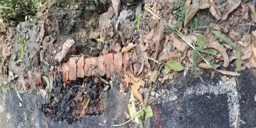 নির্মাণের এক মাসেই ভেঙে যাচ্ছে কোটি টাকার সড়ক