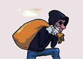 লুটেরার দল (এম এ ওয়াহাব)