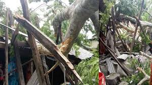 রেমালের আঘাতে তছনছ মোরেলগঞ্জ