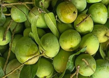 হরমোনে সর্বনাশ হাঁড়িভাঙার