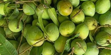 হরমোনে সর্বনাশ হাঁড়িভাঙার