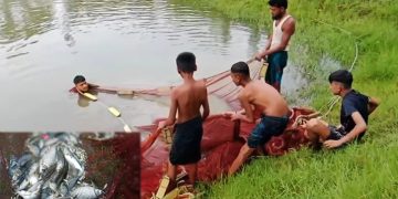 পুকুরে ধরা পড়ল ১০টি ইলিশ