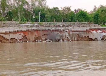 বগুড়ায় যমুনায় ভাঙন