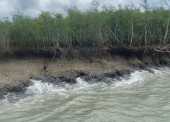 ভেঙে যাচ্ছে সুন্দরবনের উপকূলীয় এলাকা