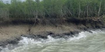 ভেঙে যাচ্ছে সুন্দরবনের উপকূলীয় এলাকা