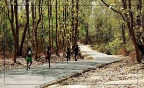 পাহাড়ের হাতছানিতে পর্যটক টানছে গজনী অবকাশকেন্দ্র