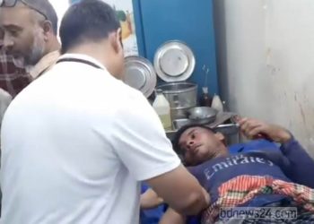 কামড় খেয়েও জীবিত রাসেলস ভাইপার নিয়ে হাসপাতালে