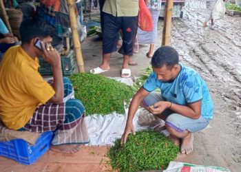 ৬ কেজি চালের দামে মিলছে ১ কেজি কাঁচা মরিচ