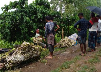 আড়িয়ল বিল