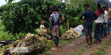 আড়িয়ল বিল