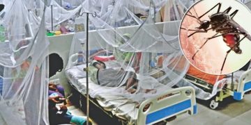 শঙ্কা বাড়ছে ডেঙ্গুর