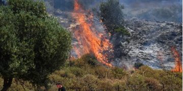 ইসরায়েলে হিজবুল্লাহর বড় হামলা