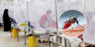 গ্রাম-শহরে ডেঙ্গুর ভয়ানক প্রকোপ