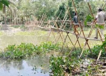 ব্রিজের অভাবে পারাপারে দুর্ভোগ