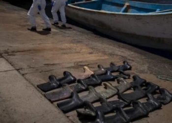 নৌকায় মিলল ৩০ জনের পচা-গলা মরদেহ