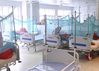 ডেঙ্গুর ভয়াবহ রূপ