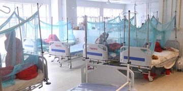 ডেঙ্গুর ভয়াবহ রূপ