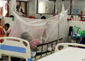 ডেঙ্গু রোগী বেশি আগস্টে