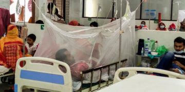 ডেঙ্গু রোগী বেশি আগস্টে