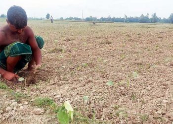 হামার ফির আকাল শুরু হইচে