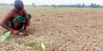 হামার ফির আকাল শুরু হইচে