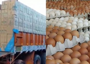২ লাখ ৩১ হাজার ডিম এবার ভারত থেকে এলো