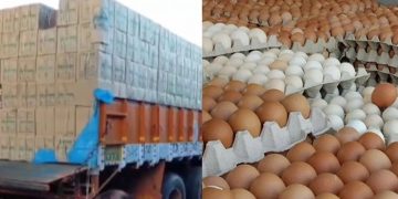 ২ লাখ ৩১ হাজার ডিম এবার ভারত থেকে এলো