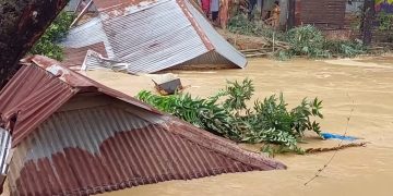 শেরপুরে বন্যা