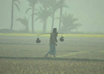 শীত ও শৈত্যপ্রবাহ নিয়ে যে বার্তা দিলো