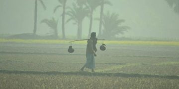 শীত ও শৈত্যপ্রবাহ নিয়ে যে বার্তা দিলো