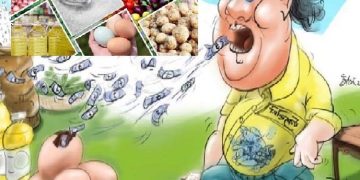 সিন্ডিকেট থেকে বাঁচতে নতুন পদক্ষেপ নিচ্ছে