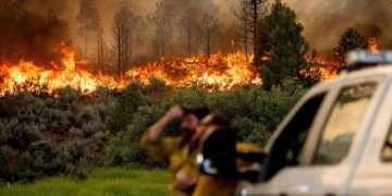 ক্যালিফোর্নিয়ায় ভয়াবহ দাবানল