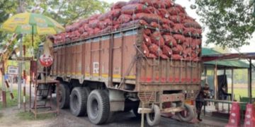 হিলিতে রেকর্ড পরিমাণ আলু আমদানি