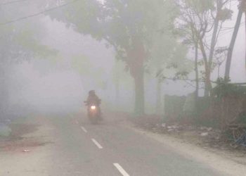 ঘন কুয়াশার চাদরে পঞ্চগড়ের জনপদ